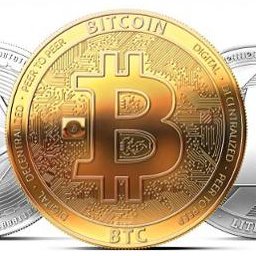 SEVAITS_crypto's profile picture. Building Tidewater's crypto future. Bringing blockchain and cryptoasset developers, entrepreneurs and retail investors together.