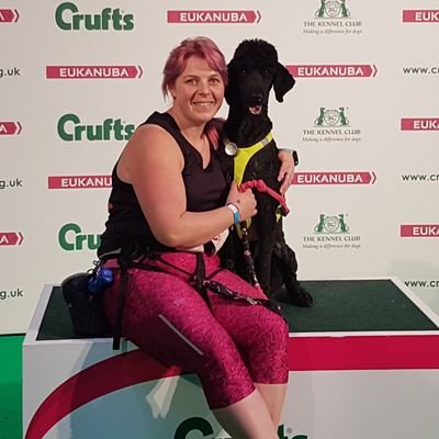 The fabulous gay poodle and his journey into canicross