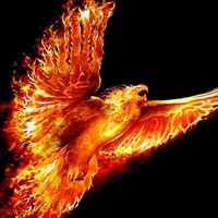 Fire Eagle(@FireEagle77) 's Twitter Profile Photo
