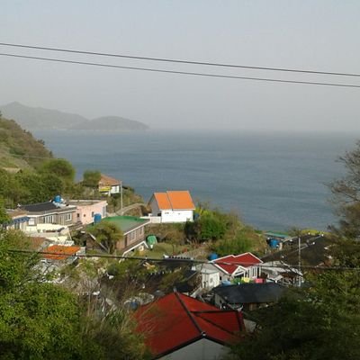 moiraisky's profile picture. 