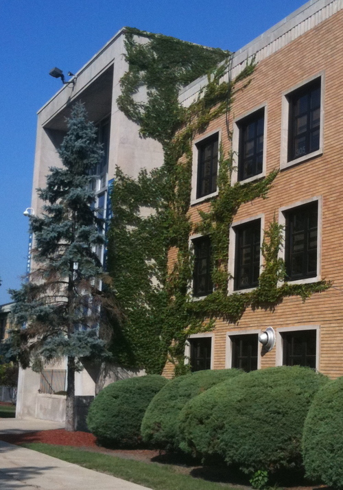 Reavis High School is located in Burbank, IL and is a comprehensive high school with a foundation of Academics, Activities, & Athletics for its 1800+ students.