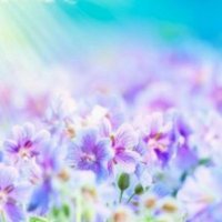 木村 (@kimura311311) 's Twitter Profile