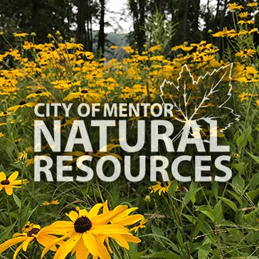 With over 1200 acres of green space, Mentor, Ohio is a major destination for those who can't get enough of the great outdoors! (440) 974-5717