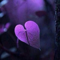 Ahmed (@ahmed52876356) 's Twitter Profile