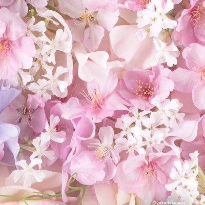 happyendwriter's profile picture. 読後にほっこり幸せな気持ちになれるお話を書きたくて修行中。「人生は楽しむためにある！」をモットーに楽しい人生を満喫中。日本嫌煙党員です。