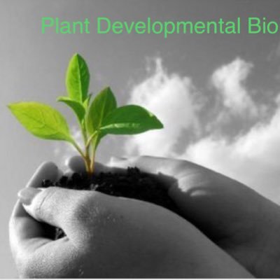 PlantDevelope21's profile picture. Plant Developmental Biology