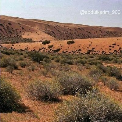 olaiC5ooO9lvTBq's profile picture. 