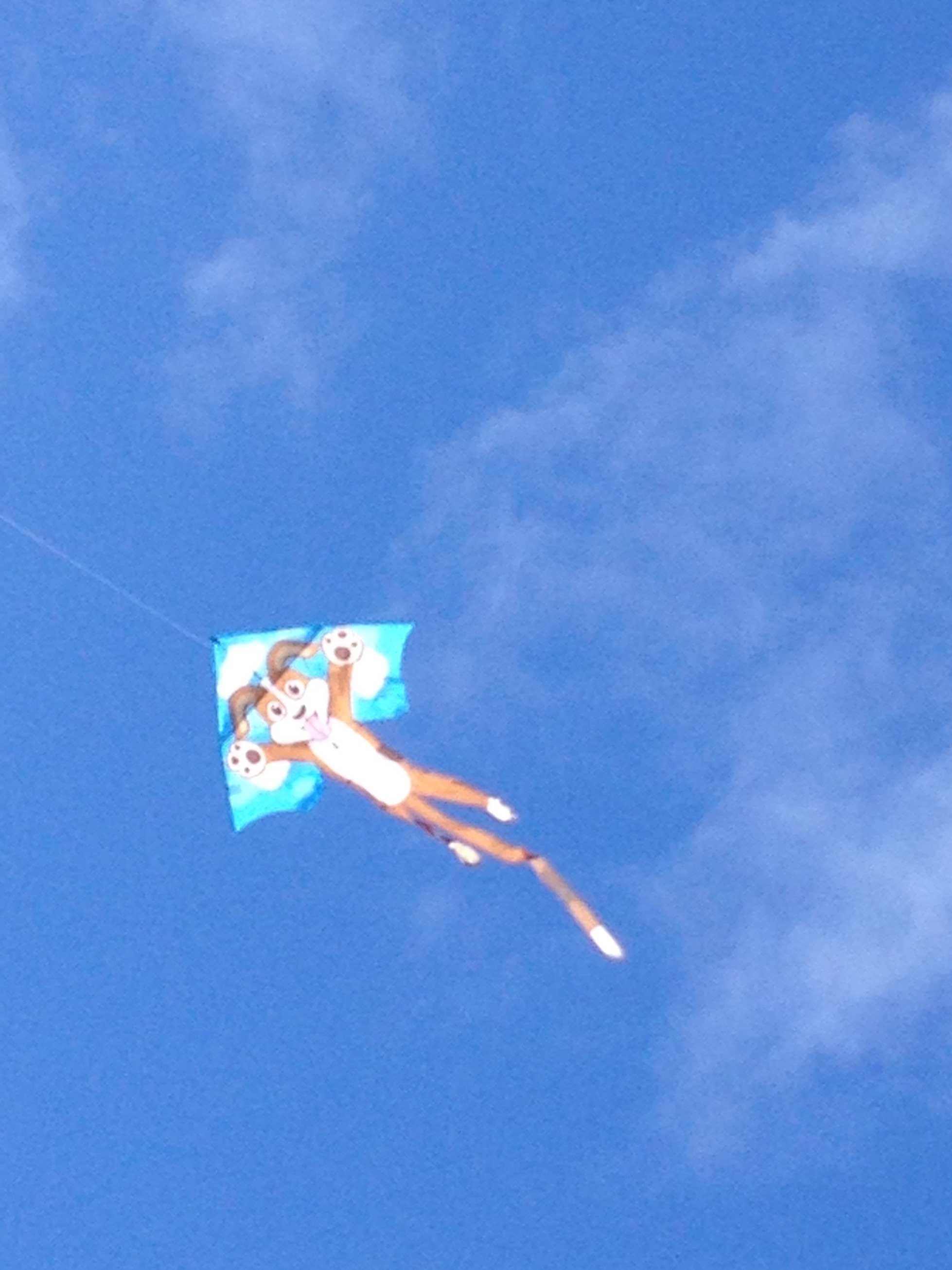 kamal_helen's profile picture. An optimist, despite everything!