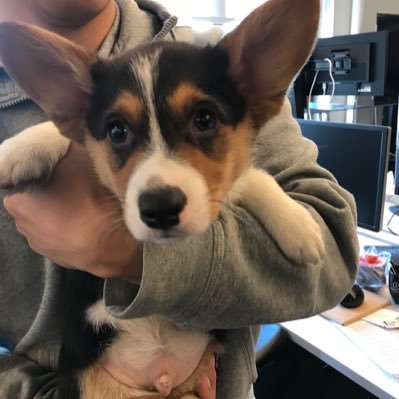 nf_test2's profile picture. ❣️