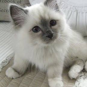 celia5uzz's profile picture. 