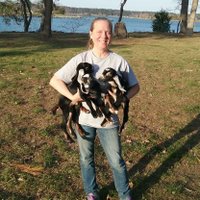 Rita Weaver (@weaver_er_rn) 's Twitter Profile