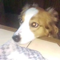 Manuela (@manumaus21) 's Twitter Profile