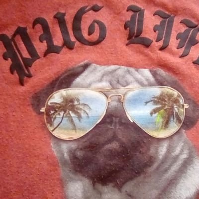 DaiveaSams's profile picture. 