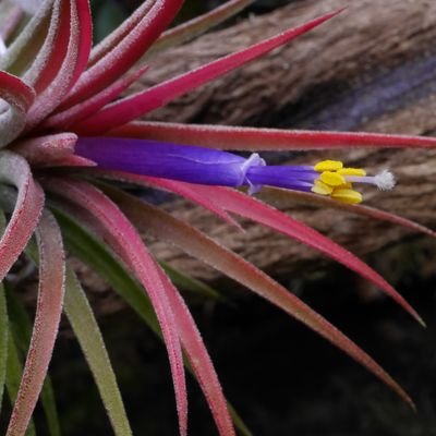 BenjiOget's profile picture. 