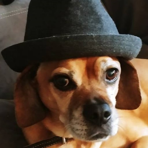 Vincent_Pate's profile picture. This is my personal account and does not reflect anyone's views but myself... and sometimes those views are actually satire.