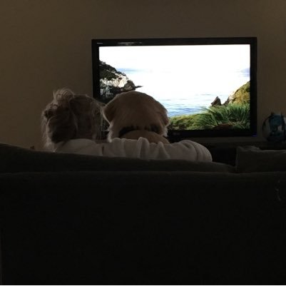 amyfacey4's profile picture. 