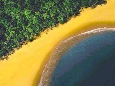 brasilmudando's profile picture. Uma campanha incessável pro Brasil mudar pra melhor.