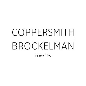 Business law firm focusing on healthcare, employment, commercial lit, election/political law, and more. Known for creative thinking & practical solutions.