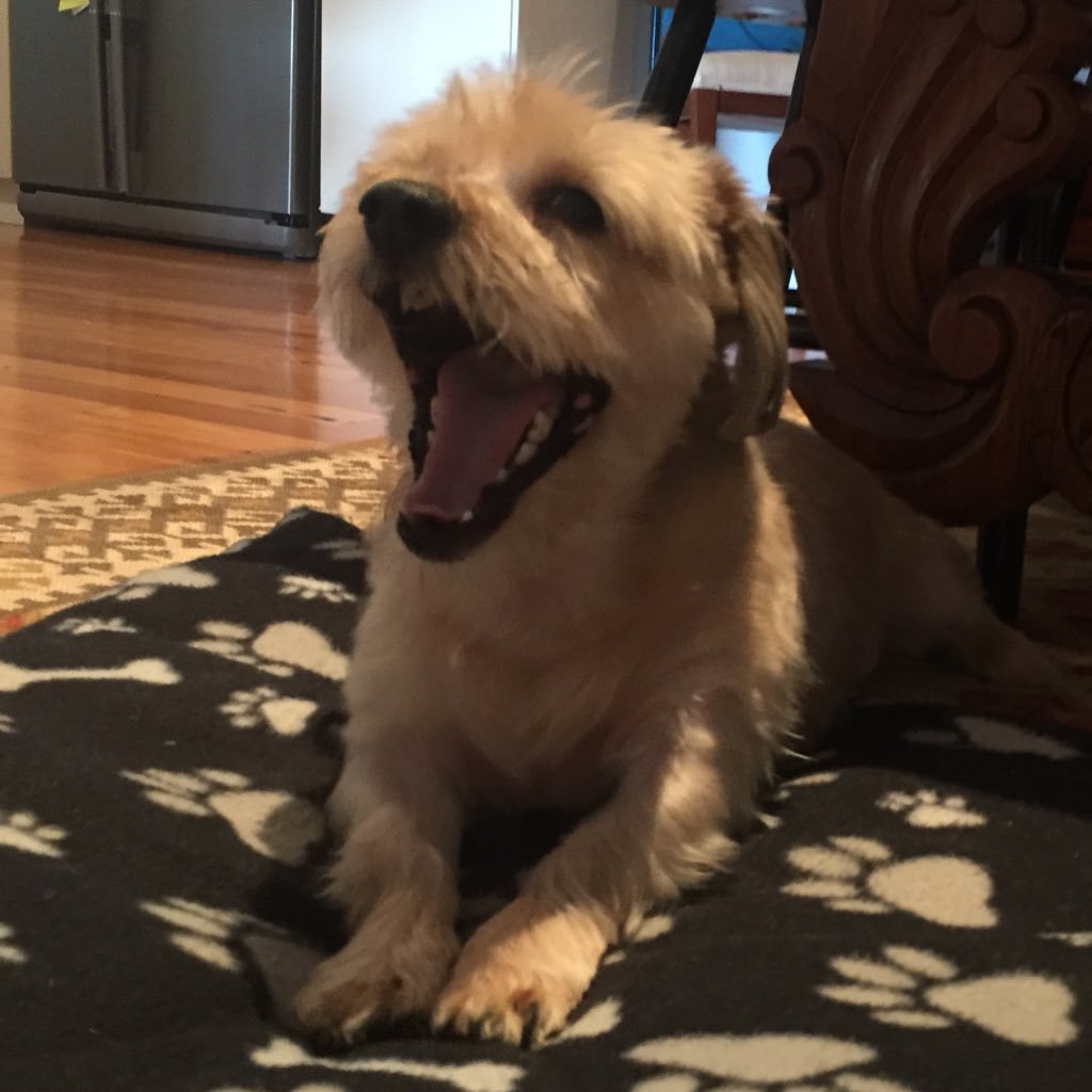 SuzyCoull's profile picture. English teacher living in Perth, WA.