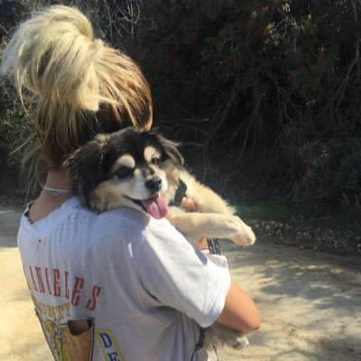 faith_deaton_'s profile picture. Well I'm Faith, I like swimming, reading, animals and dancing.