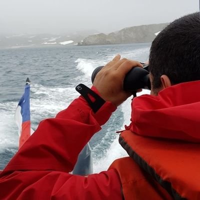 aloferrer's profile picture. 