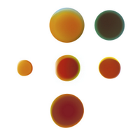 NFP (@nfponline) 's Twitter Profile