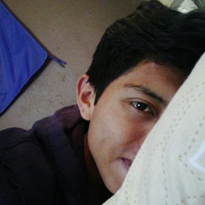 gualotocesar's profile picture.