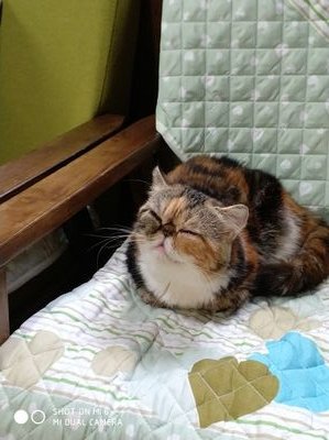 s3pwyZbIuUUDUDa's profile picture. 