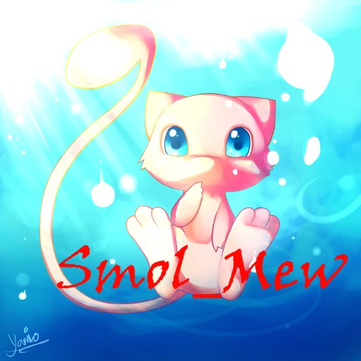 Beginner YouTuber