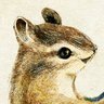 ForestStoryTime's profile picture. ちいさな生きもの達の
ちいさな物語 を描いています。

ひとつひとつのメッセージ、毎日心の栄養にしてます✨

感謝でいっぱいなのに、なかなか
お一人お一人へのお返事が叶わずすみません🌿

もし質問がございましたら、
こちらのご案内 https://t.co/lzlnDdbRCvをご覧下さい🐿🌱
