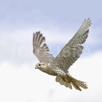 notForget__me's profile picture. 