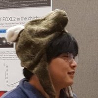 Teruhito Ishihara (@teruishihara) 's Twitter Profile