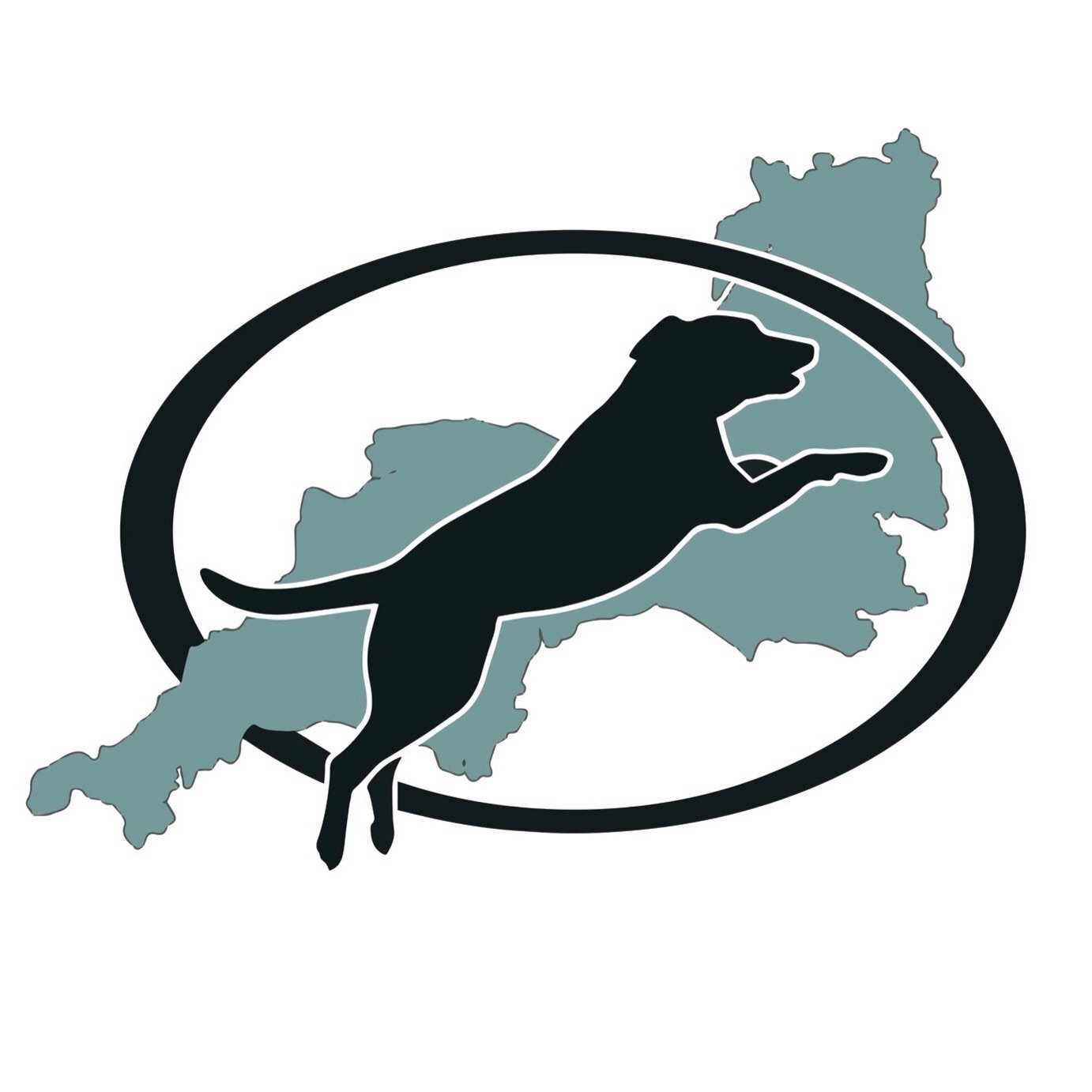Veterinary Physiotherapy, Advanced Hydrotherapy and Rehabilitation for your dog.