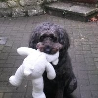 Chris Lockwood (@c_lockwoodmason) 's Twitter Profile Photo