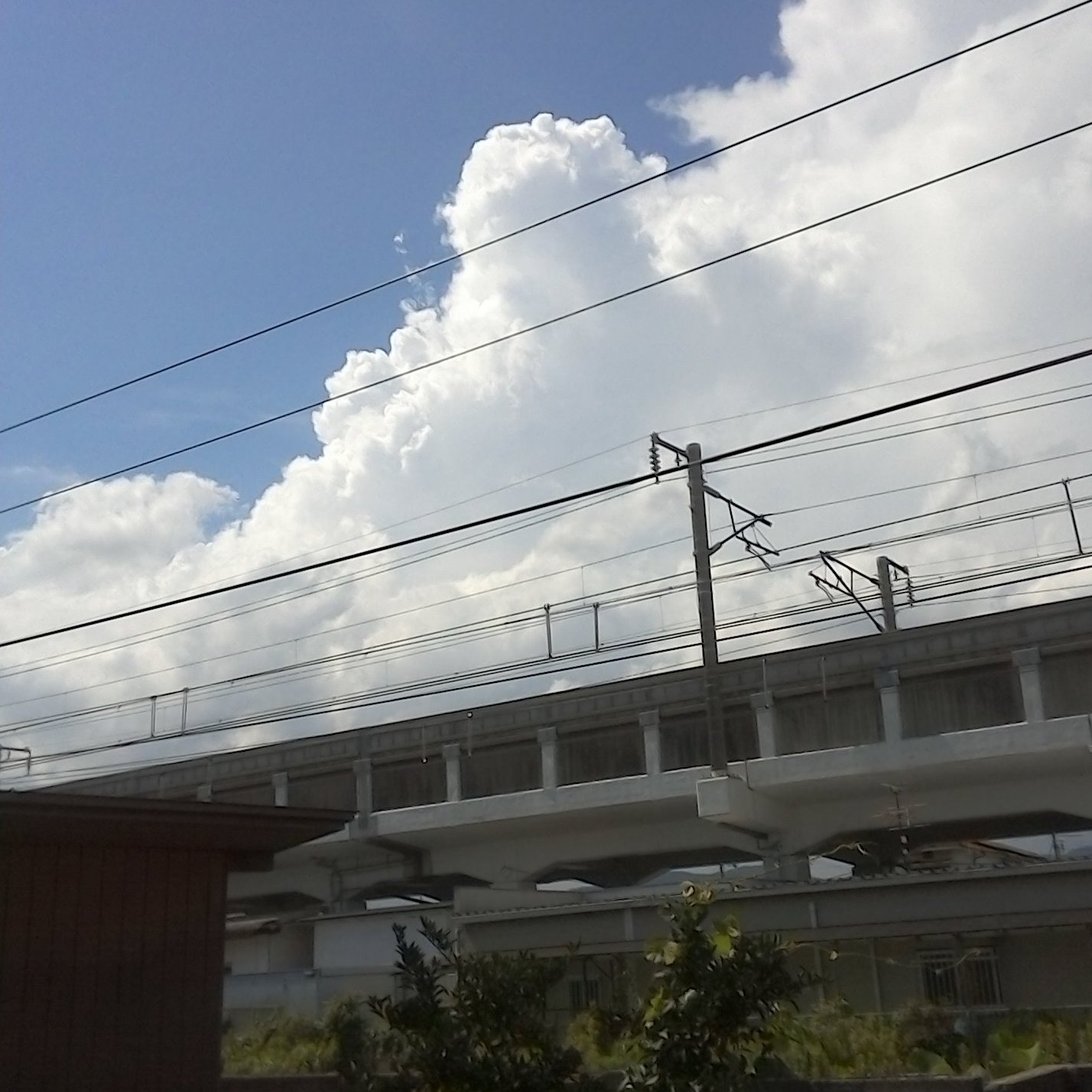 seidou3onkouga's profile picture. 三Ｏｎ黄河鯖で彷徨ってました