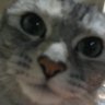 from_you_import's profile picture. 