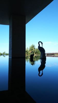 RYE_spcp's profile picture. Twitter全くやらないなり