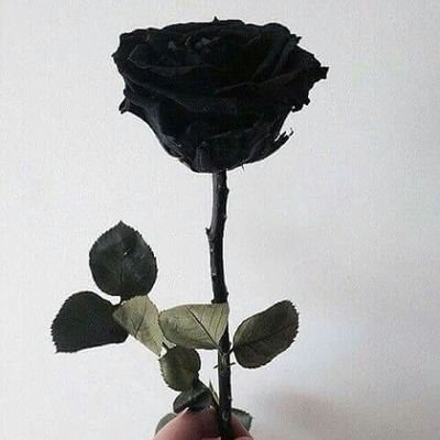 mysweetest7tin's profile picture. Let it go, move on, be strong.†