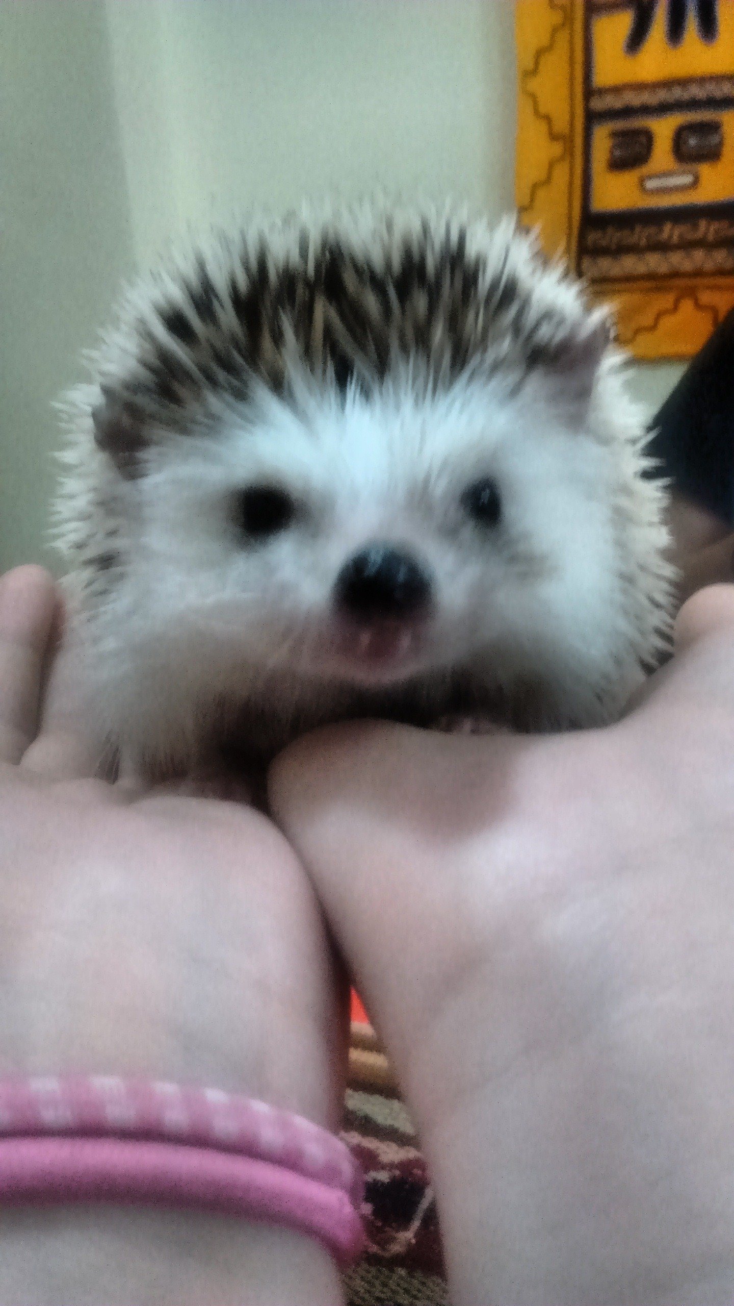 delahand_j's profile picture. 