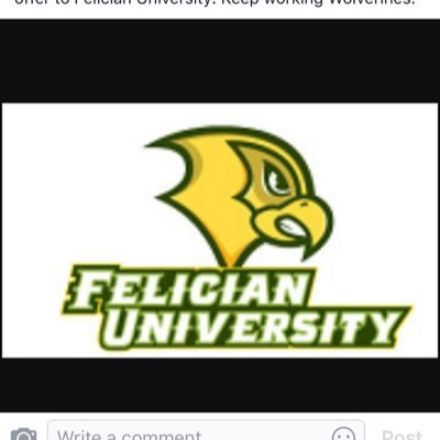 Felician University Head Mens Basketball Coach