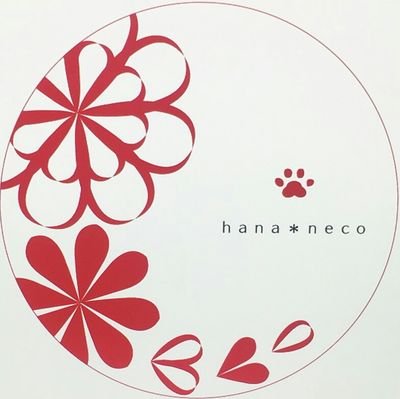 hananeco96 Profile Picture