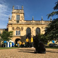 Trinity Access (@trinityoxaccess) 's Twitter Profile