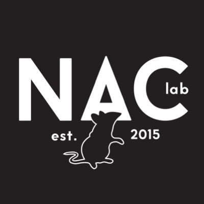 Neuroscience and Animal Cognition Lab at Providence College. Cognitive and neural mechanisms underlying memory systems in nonhumans. See also @vtempler