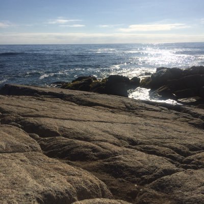 Momitochico1's profile picture. 