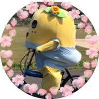 ใใฎใใฎ๐ (@funakono) 's Twitter Profile
