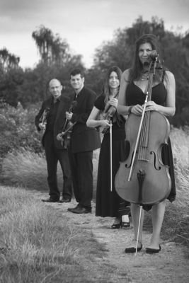 Premier string quartet from Worcestershire for weddings, parties and corporate events. Professional, affordable and with great music to suit all tastes.