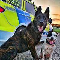 Police Dogs Fozzy And Boris(@FozzyandBoris) 's Twitter Profile Photo