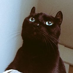 コネリ（一人のおじさん）さんのプロフィール画像