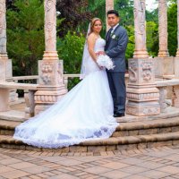 alma morales (@almamor40255619) 's Twitter Profile