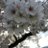 ゆうひのTwitterプロフィール画像